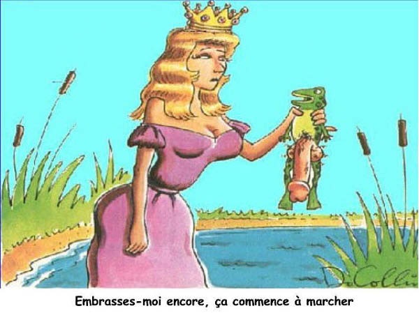 Prince grenouille-humourenvrac